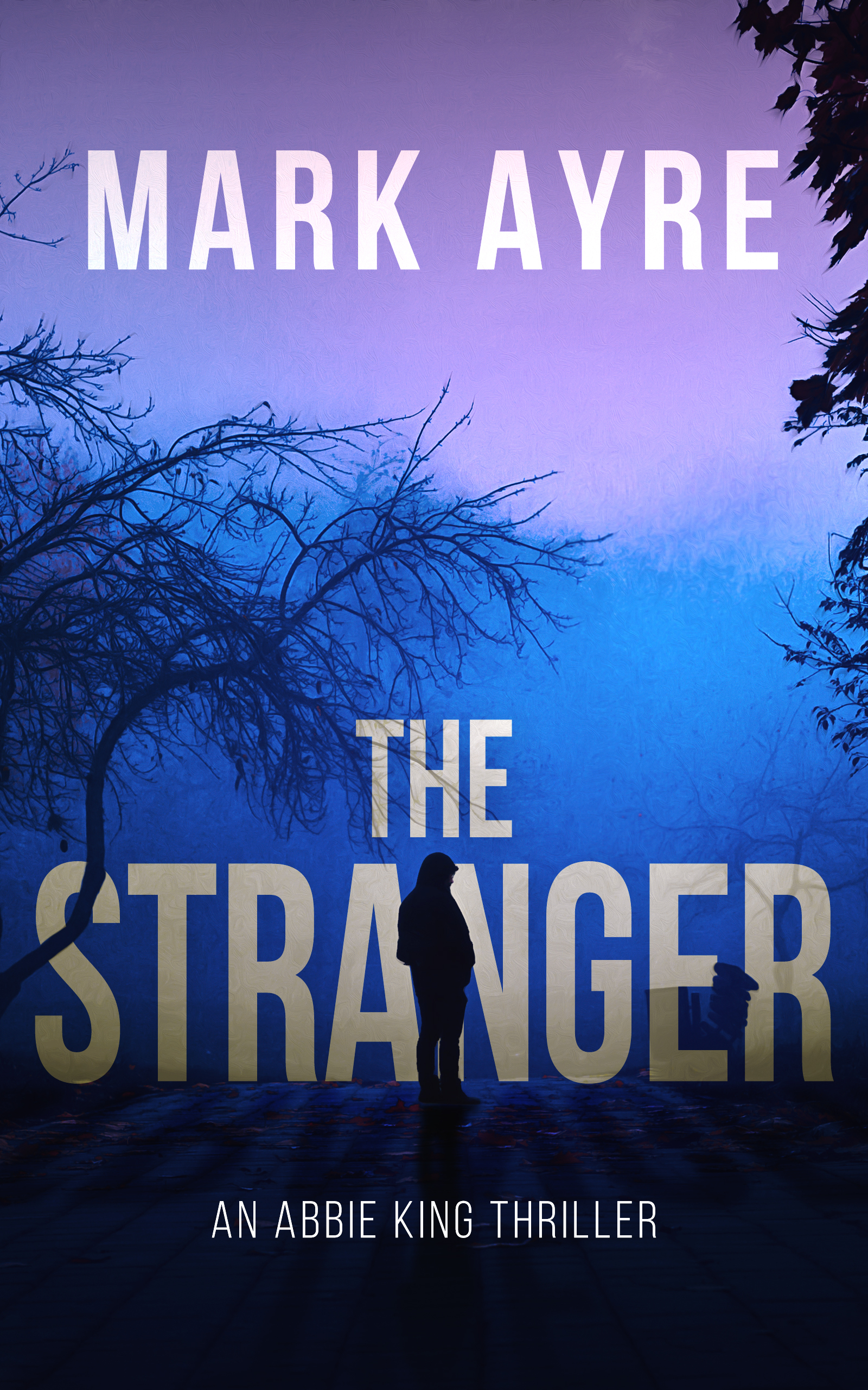 The Stranger (Abbie King Thrillers Book 1)